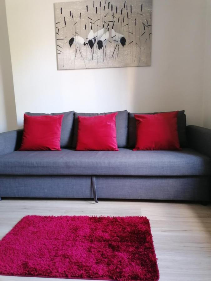 Old Cracow Apartment Mazowiecka 11 克拉科夫 外观 照片