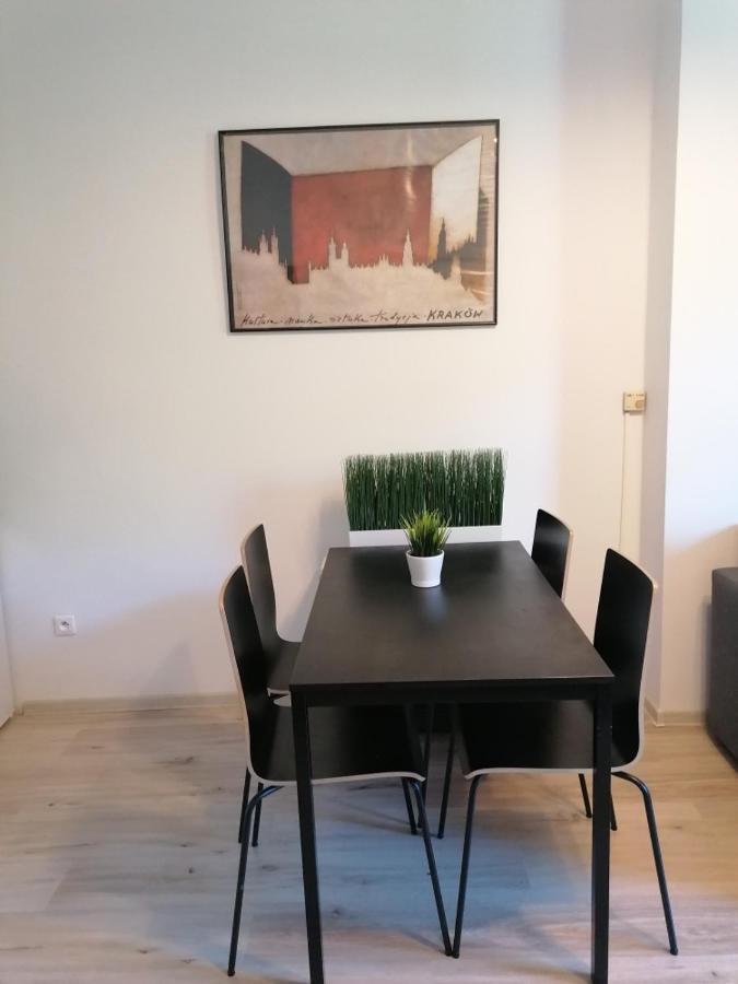 Old Cracow Apartment Mazowiecka 11 克拉科夫 外观 照片